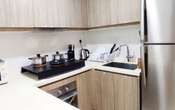Optima @ Tanah Merah (D16), Condominium #592995041